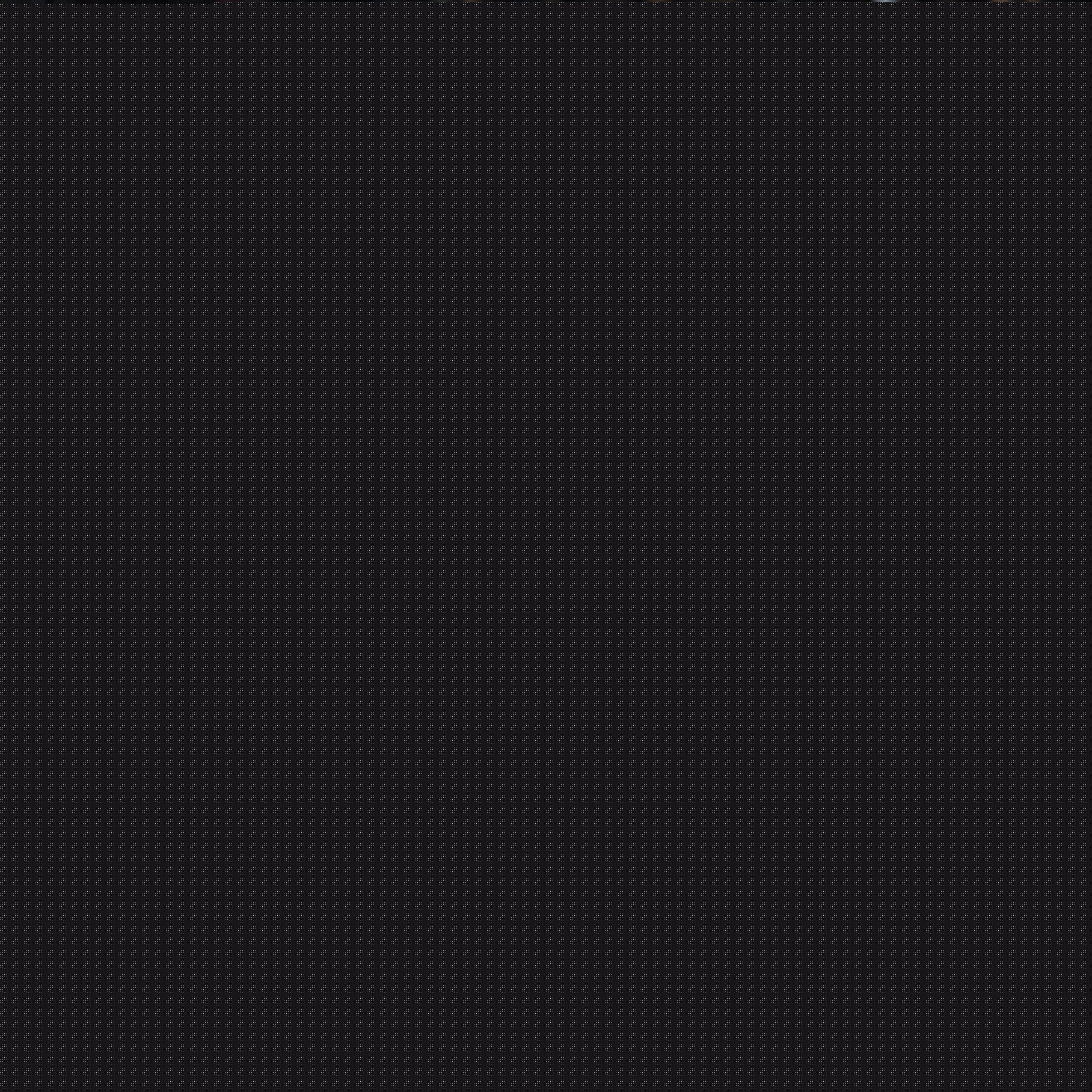 陈方执教存